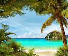 Фотообои берег с пальмами на острове и голубым морем