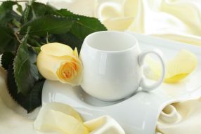 Фреска чайная роза