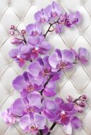 Фреска 3D Ветви орхидеи на белом фоне
