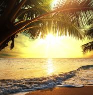Фотообои Море и пальмы