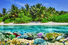 Фреска Море, подводный мир, пляж с пальмами
