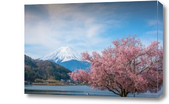 Картина пейзаж сакура и горы