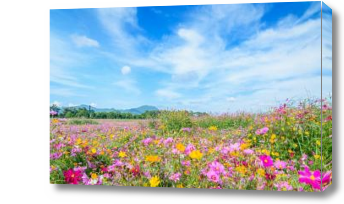 Картина цветущее поле